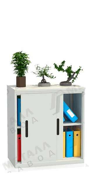 Шкаф-купе архивный ALS-8896